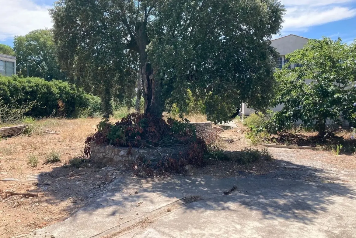 Terrain à bâtir de 384 m² à Vendargues avec permis accepté 