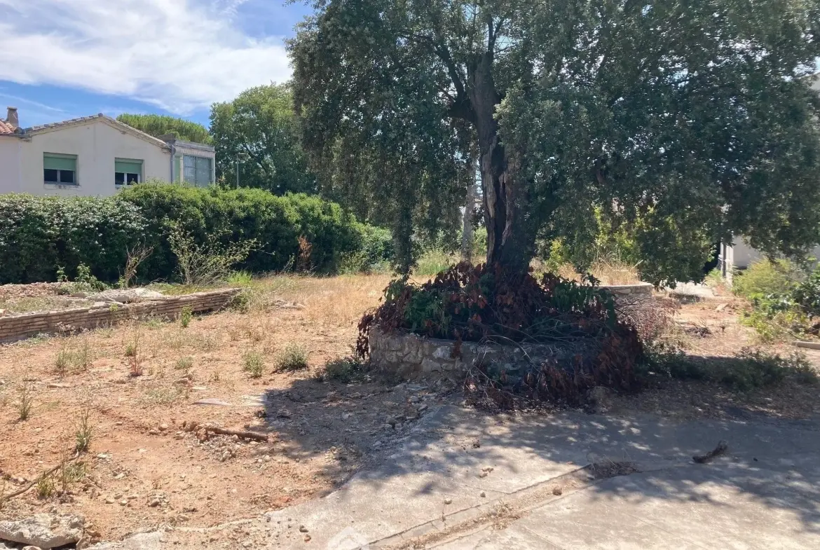 Terrain à bâtir de 384 m² à Vendargues avec permis accepté 