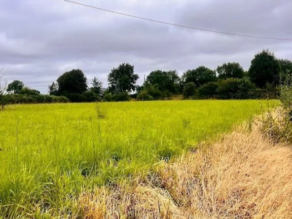 Terrain à bâtir de 821 m² à Savigny en Normandie