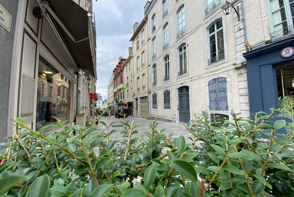 Studio rénové de 24 m² à Pau cœur du quartier historique, opportunité d'investissement 