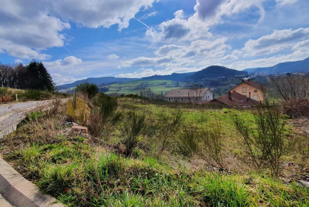 Terrain à bâtir constructible de 1024 m² à Lepanges-sur-Vologne 