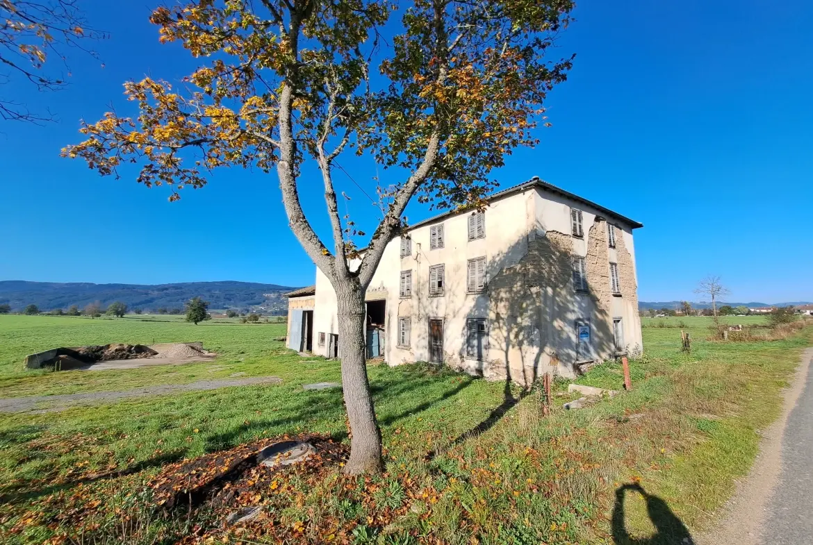 Propriété rurale à rénover avec potentiel à Ambert - 75 750 € 