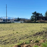 Terrain à vendre à Meillon – Deux parcelles semi-viabilisées de 1758 m² et 1977 m²