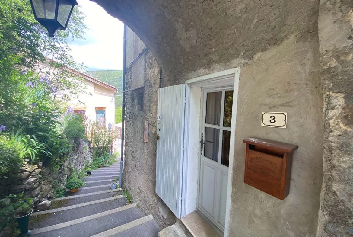 Appartement T2 lumineux à Montclus, proche Serres et la Germanette 