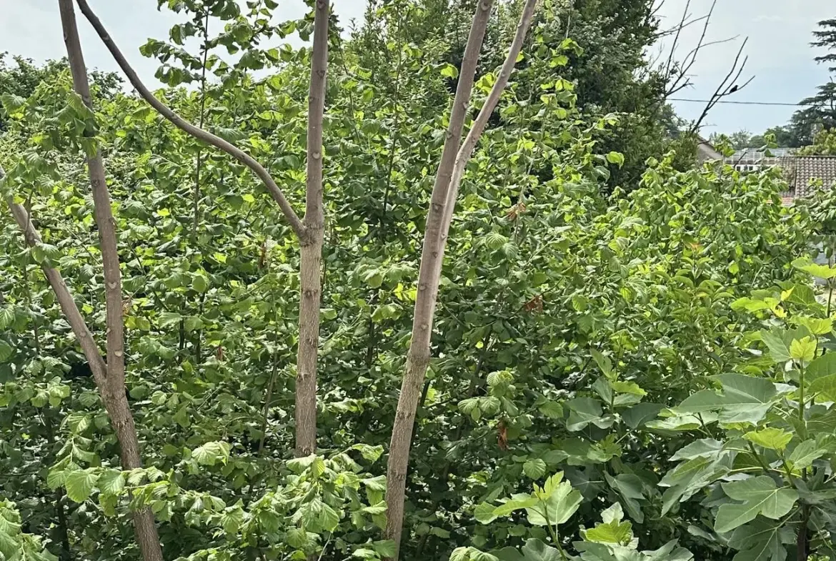Maison à vendre à Cenon de 100 m² avec jardin et garage proche tramway 