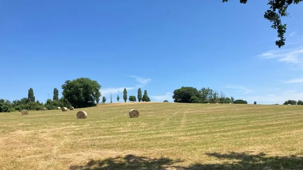 Terrain constructible de 517 m² à Sauveterre-de-Guyenne avec emplacement idéal 