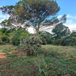 Terrain constructible de 600 m² à vendre à Rions - Environnement calme