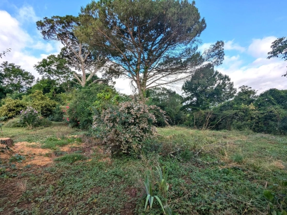 Terrain constructible de 600 m² à vendre à Rions - Environnement calme