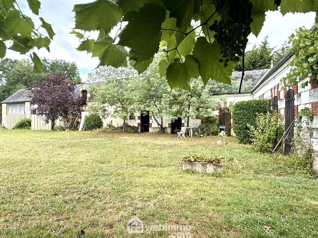 Maison en tuf de 1868 avec terrain de 3 hectares à Longué-Jumelles 