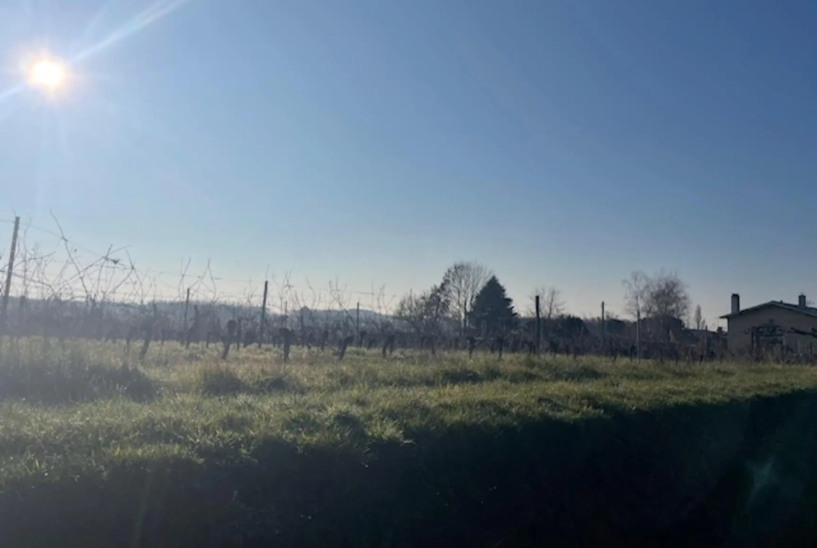 Terrain constructible à Targon, 550 m², hors lotissement, zone UC, proche du centre-ville 