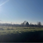 Terrain constructible à Targon, 550 m², hors lotissement, zone UC, proche du centre-ville