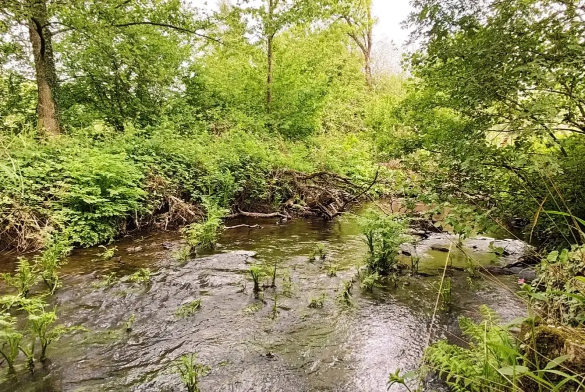 Belle maison avec grand terrain et serre à Guerlédan en Bretagne 
