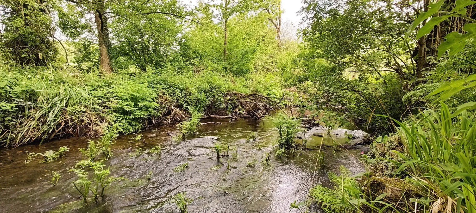 Belle maison avec grand terrain et serre à Guerlédan en Bretagne 
