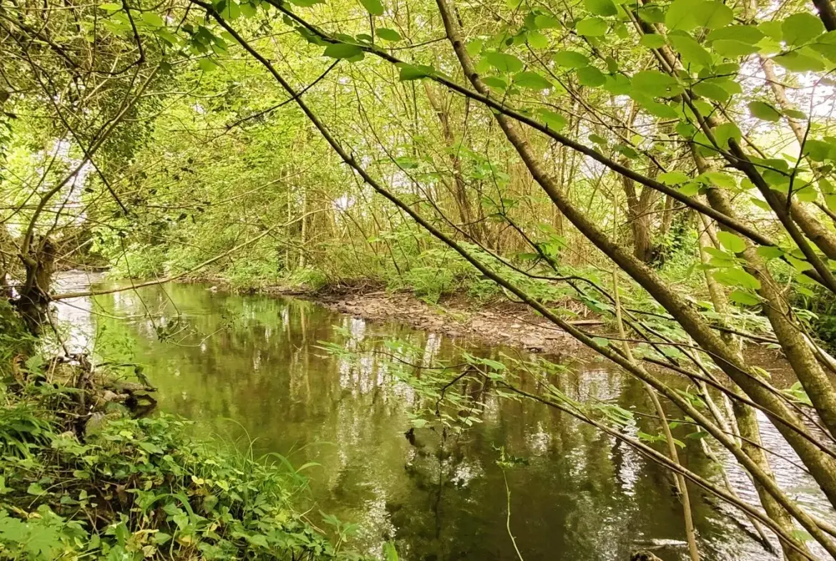 Belle maison avec grand terrain et serre à Guerlédan en Bretagne 