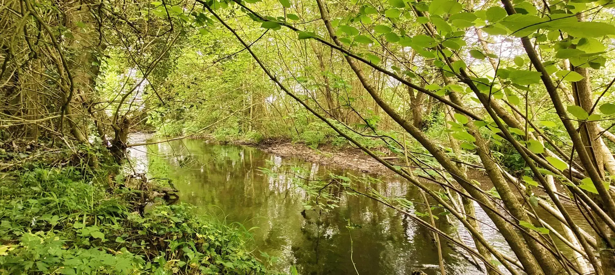 Belle maison avec grand terrain et serre à Guerlédan en Bretagne 