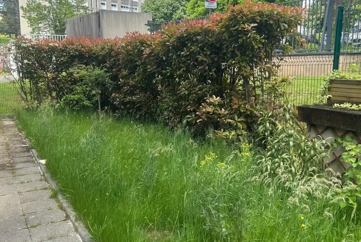 Grand appartement F4 en rez-de-jardin à Saint-Étienne proches du Parc de l'Europe 