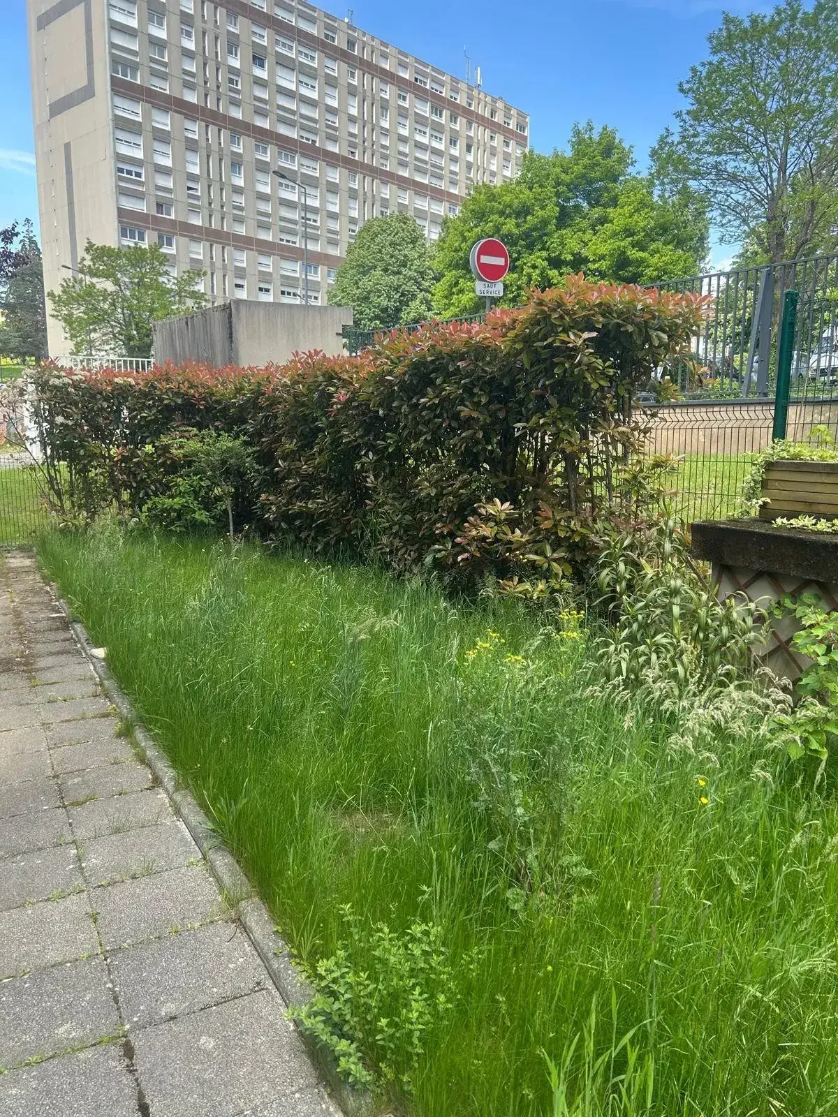 Grand appartement F4 en rez-de-jardin à Saint-Étienne proches du Parc de l'Europe 