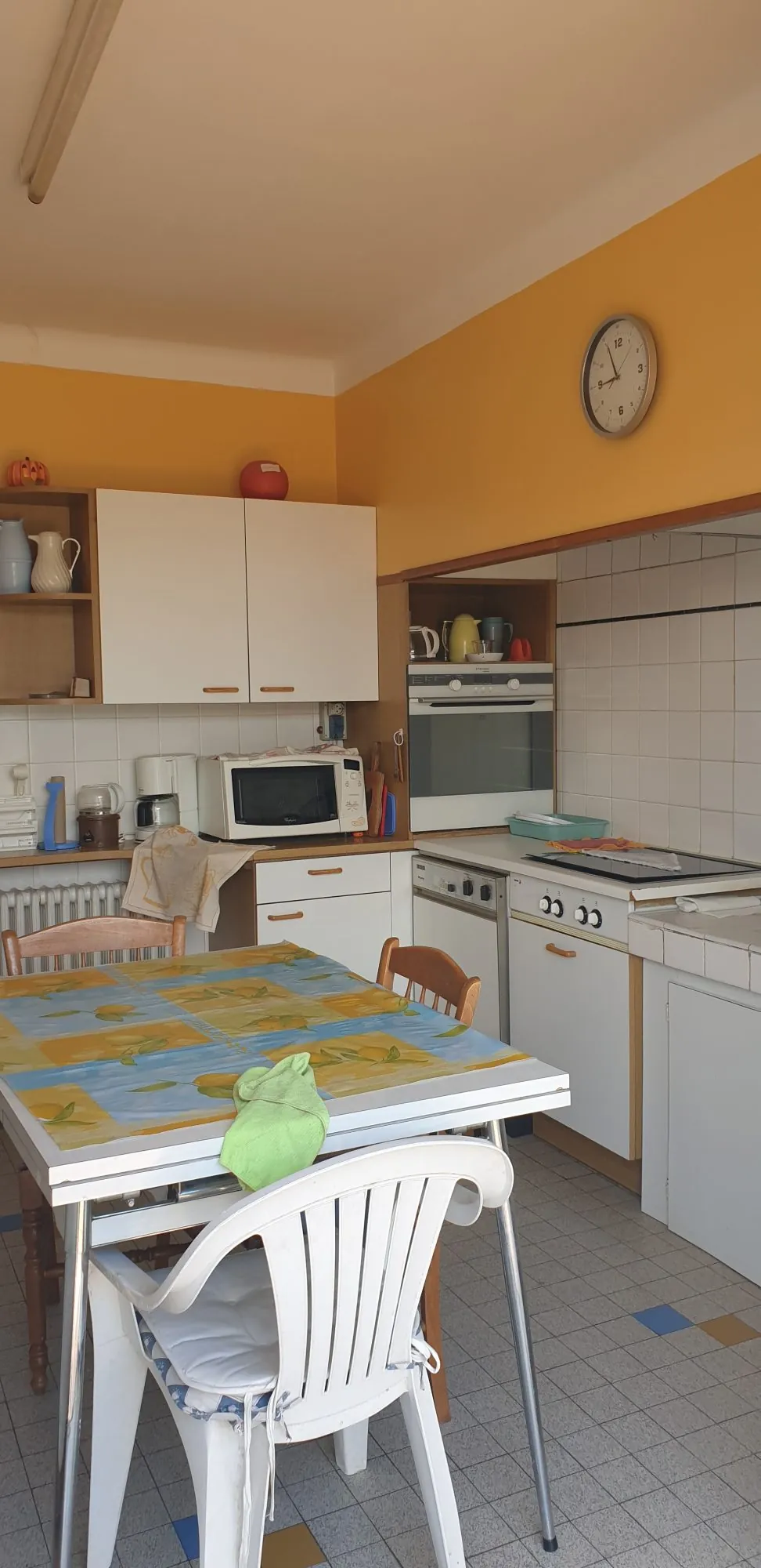 Maison spacieuse à Saint-Gaudens avec grand terrain et potentiel locatif élevé 