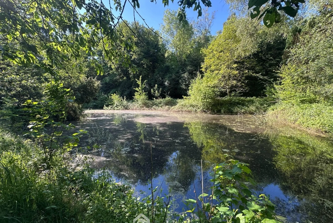Étang de loisirs de 3020 m² à Parfondru – Idéal pour la pêche et la détente 
