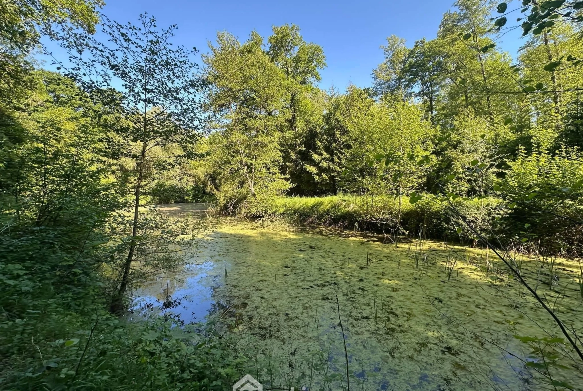 Étang de loisirs de 3020 m² à Parfondru – Idéal pour la pêche et la détente 