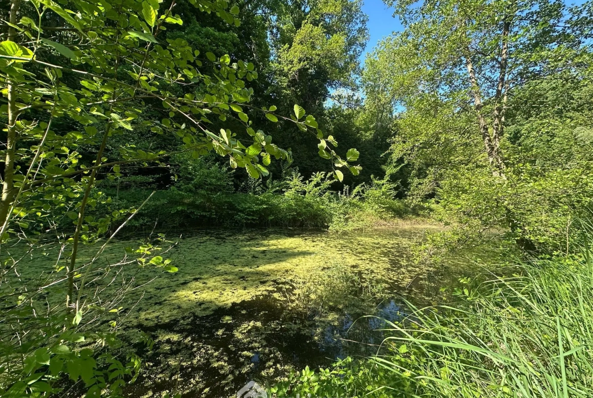 Étang de loisirs de 3020 m² à Parfondru – Idéal pour la pêche et la détente 