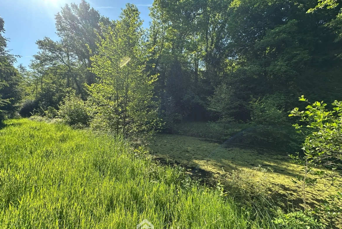 Étang de loisirs de 3020 m² à Parfondru – Idéal pour la pêche et la détente 