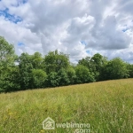 Terrain constructible de 2153 m² à Haut-de-Bosdarros - Idéal pour votre projet immobilier