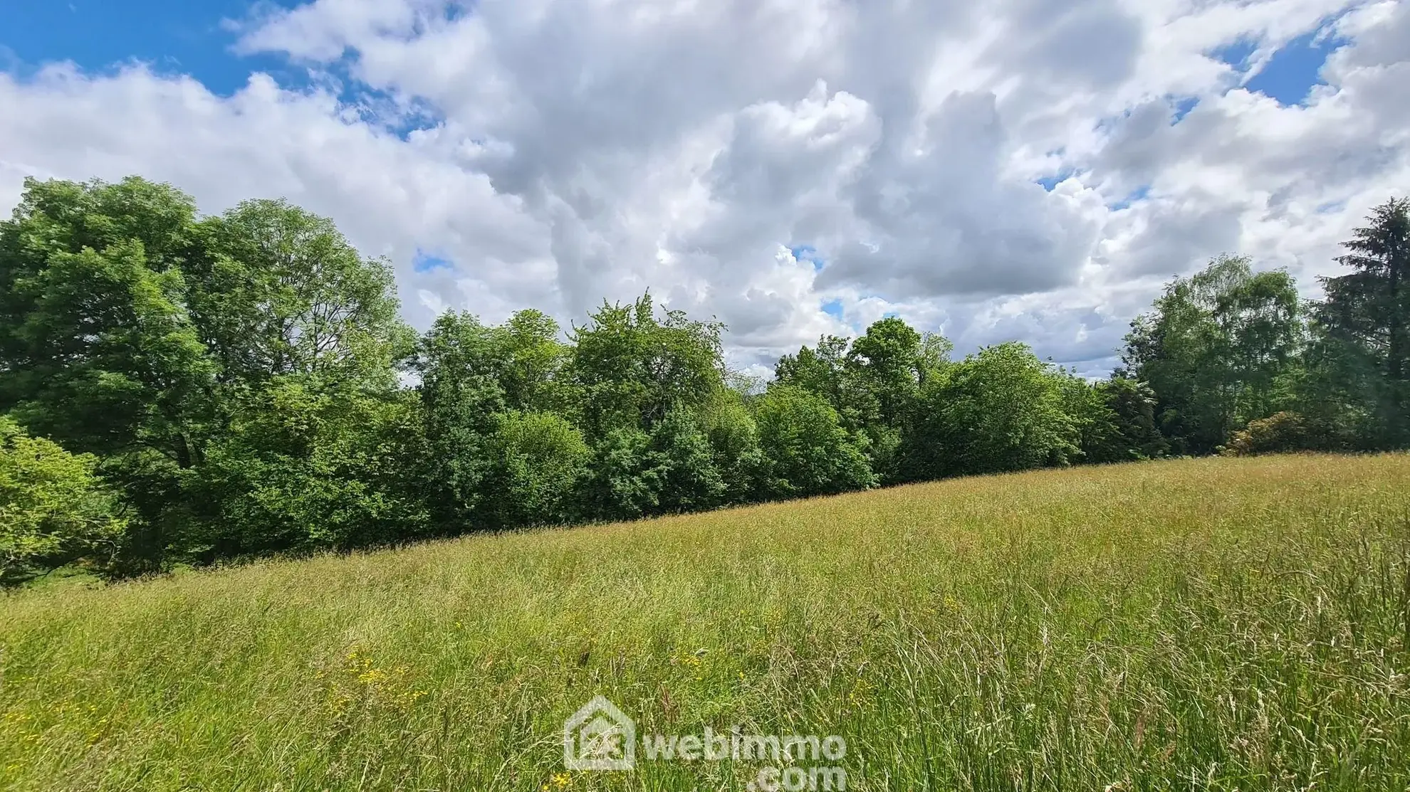 Terrain constructible de 2153 m² à Haut-de-Bosdarros - Idéal pour votre projet immobilier 