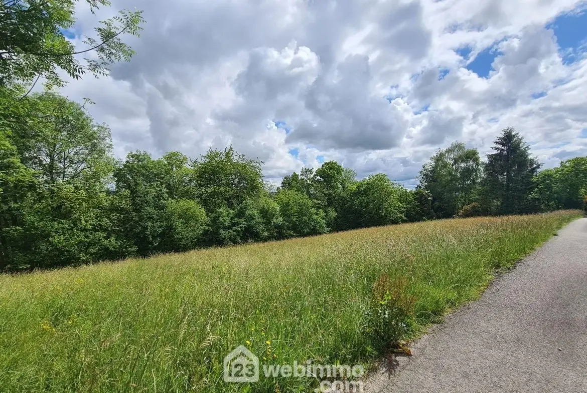 Terrain constructible de 2153 m² à Haut-de-Bosdarros - Idéal pour votre projet immobilier 