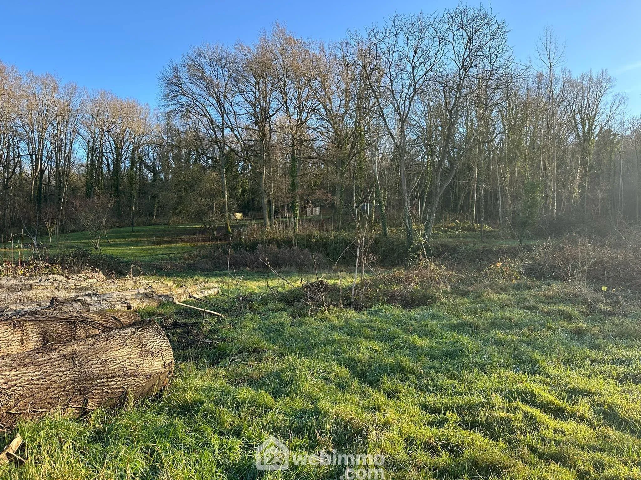 Terrain constructible de 987 m² à Vorges - Calme et viabilisé 