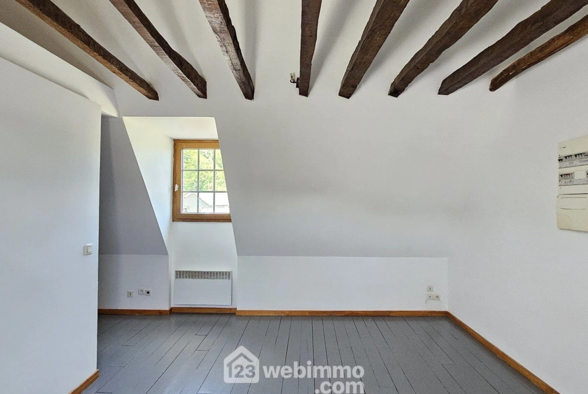 Appartement T1 bis rénové de 26 m² à Nay - Vue imprenable en centre-ville 