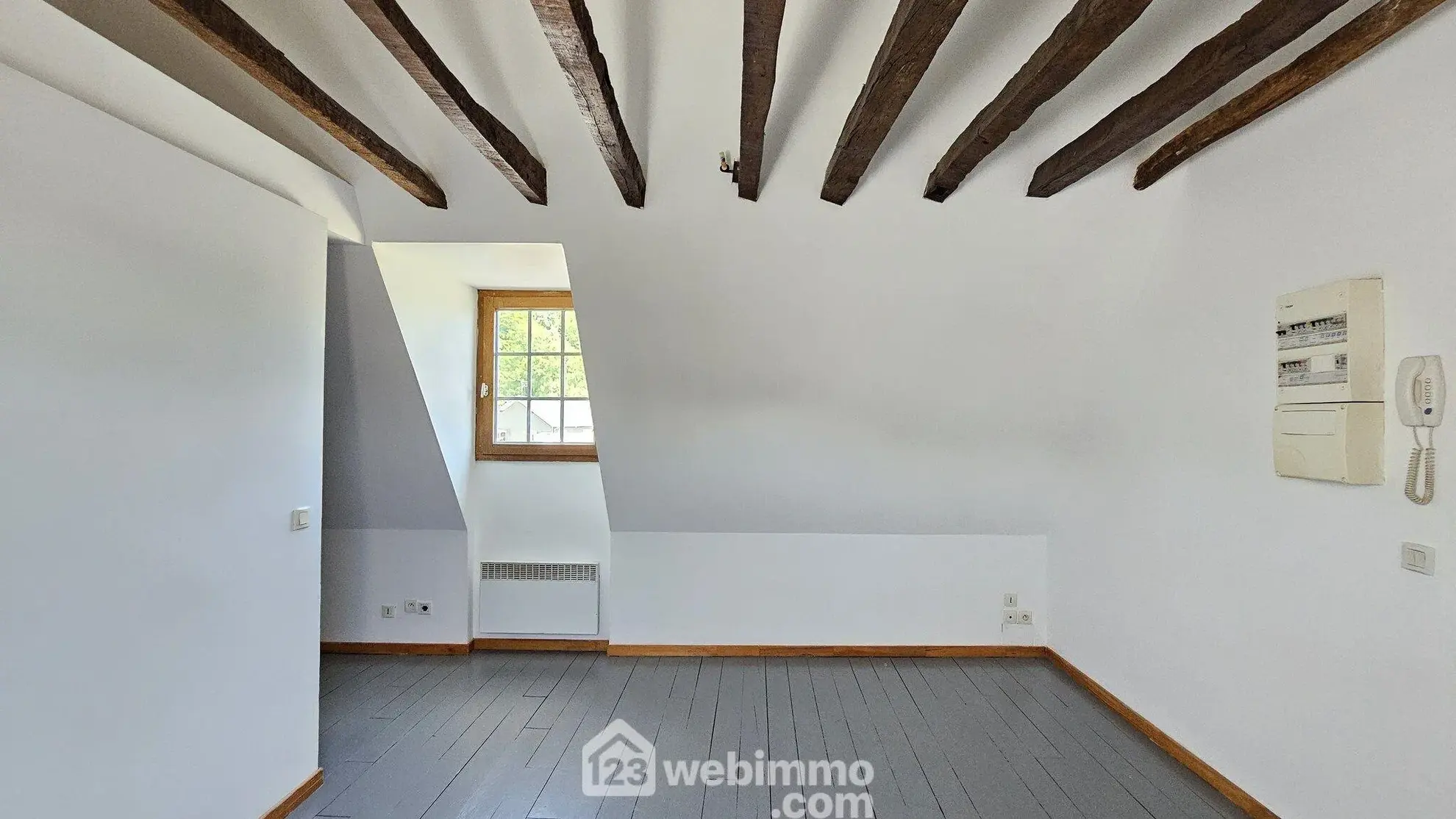 Appartement T1 bis rénové de 26 m² à Nay - Vue imprenable en centre-ville 