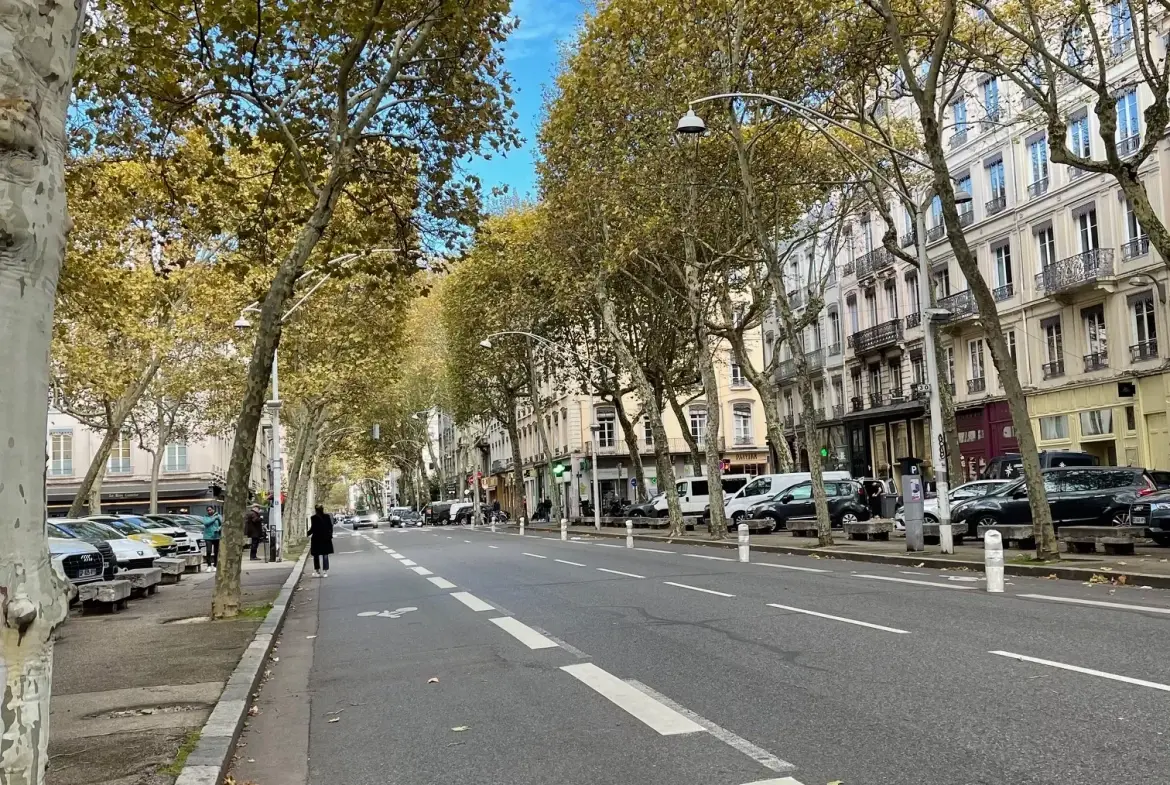 Charmant appartement ancien rénové de 48 m² à Lyon 6 avec mezzanine et cachet authentique 