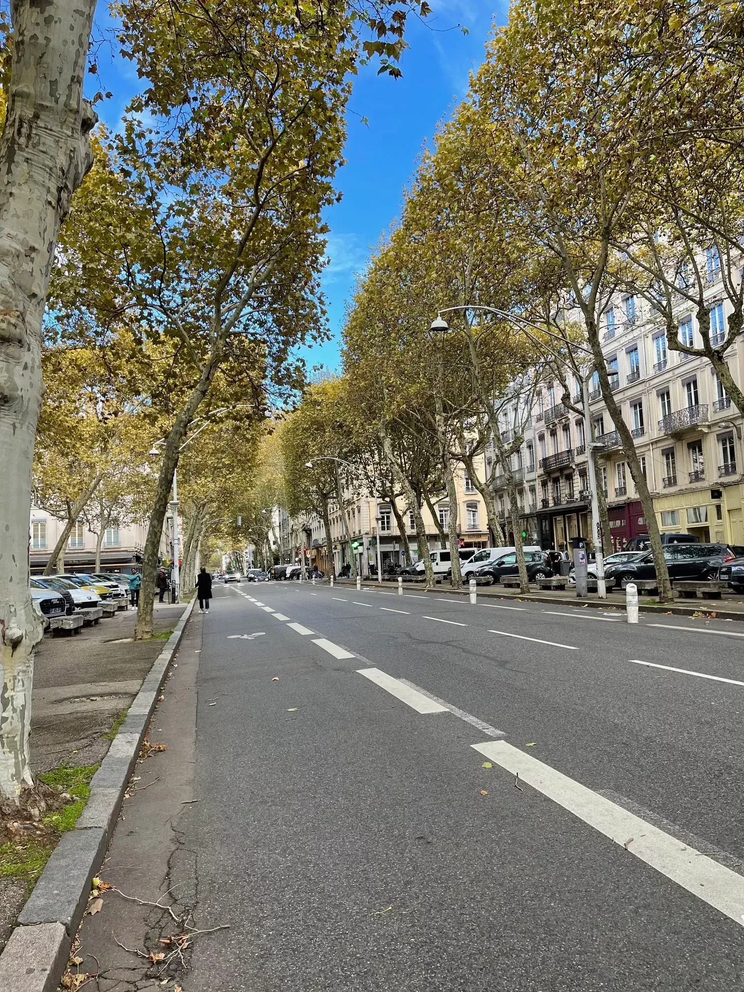Charmant appartement ancien rénové de 48 m² à Lyon 6 avec mezzanine et cachet authentique 