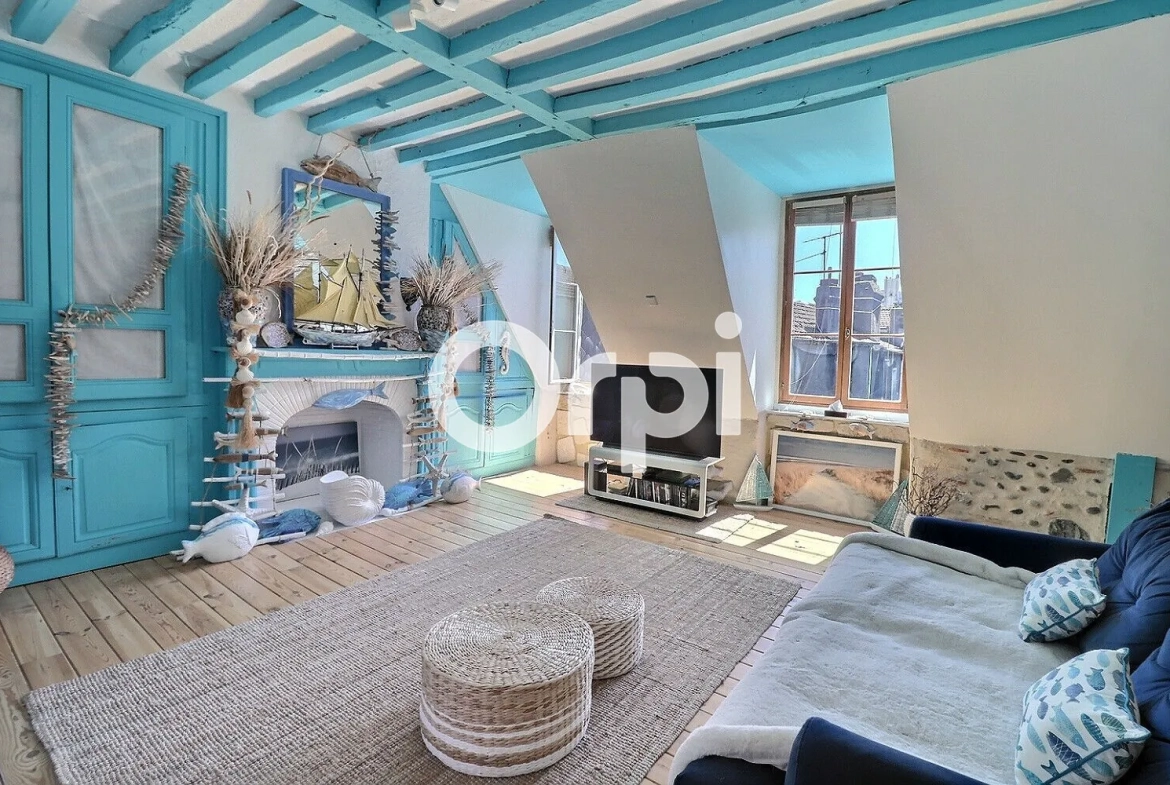 Bel appartement loft de 101 m² en hyper-centre de Pau avec parking 
