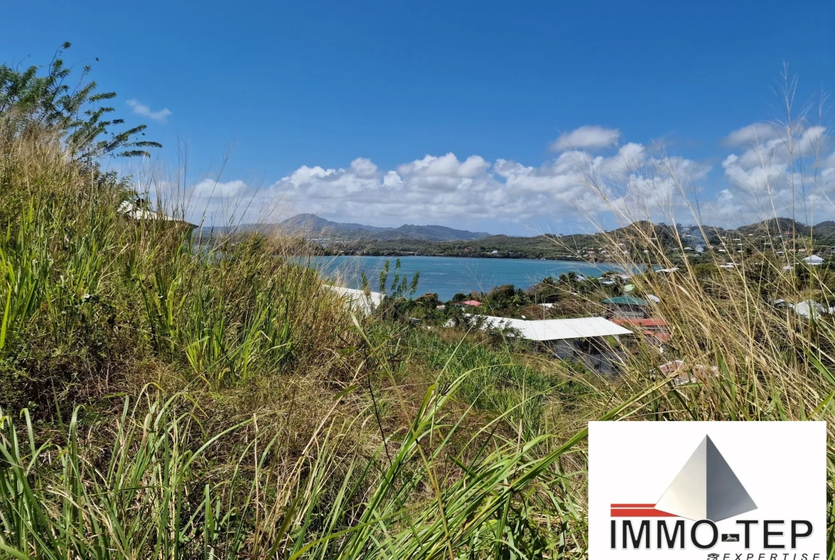 Terrain constructible en pente avec vue mer à Le Robert, 2924 m² 