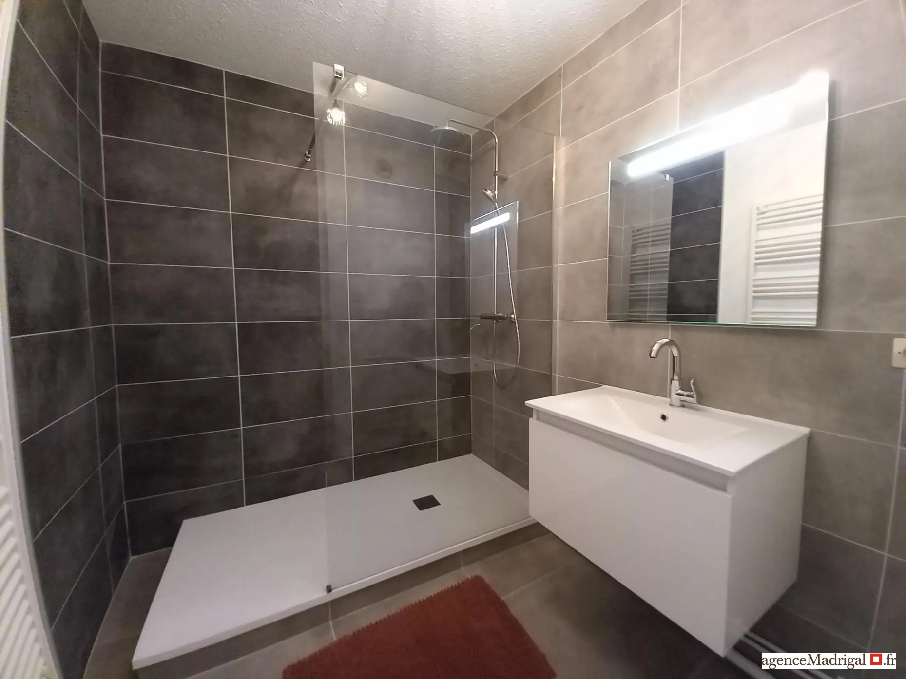 Appartement T3/4 lumineux à Rives avec garage et mezzanine, près de toutes commodités 