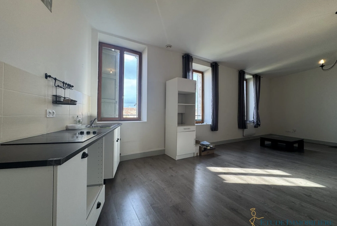 Charmant duplex de 120 m² au cœur de Clermont-l'Hérault 