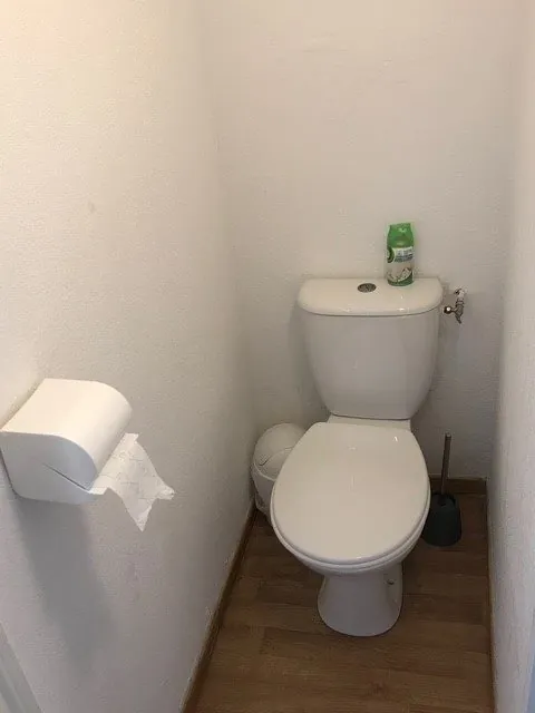 Appartement T2 meublé avec vue panoramique, balcon à Besse-et-Saint-Anastaise 