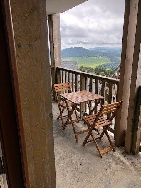 Appartement T2 meublé avec vue panoramique, balcon à Besse-et-Saint-Anastaise 