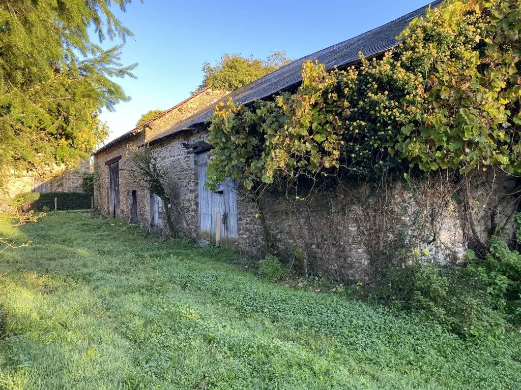 Ensemble immobilier en pierre à rénover avec maison, granges, terrain à Neuvic-Entier (87) 