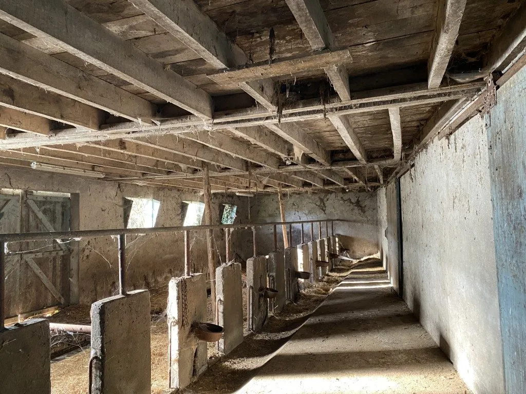 Ensemble immobilier en pierre à rénover avec maison, granges, terrain à Neuvic-Entier (87) 