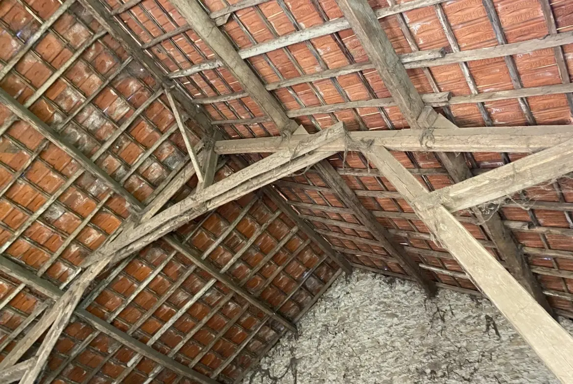 Ensemble immobilier en pierre à rénover avec maison, granges, terrain à Neuvic-Entier (87) 