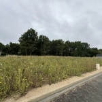 Terrain à vendre de 835 m² à Chécy, idéal pour votre projet de construction