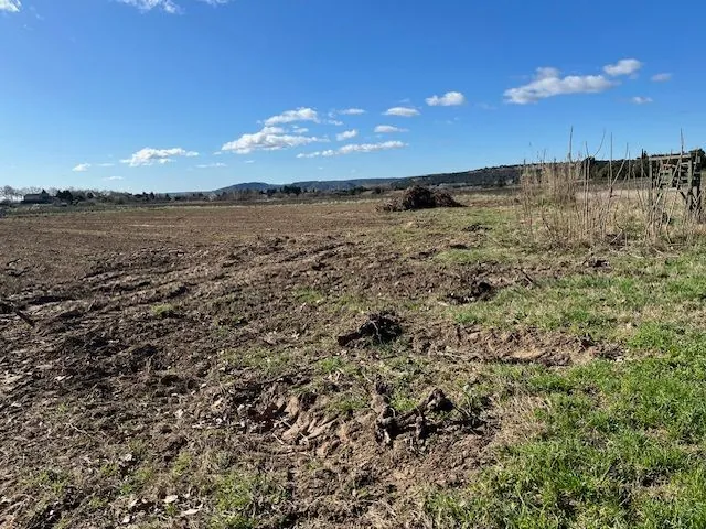 Terrain agricole à vendre à Castillon du Gard – Idéal pour cultures et oliveraies 