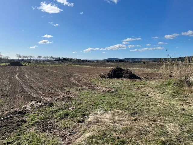 Terrain agricole à vendre à Castillon du Gard – Idéal pour cultures et oliveraies 