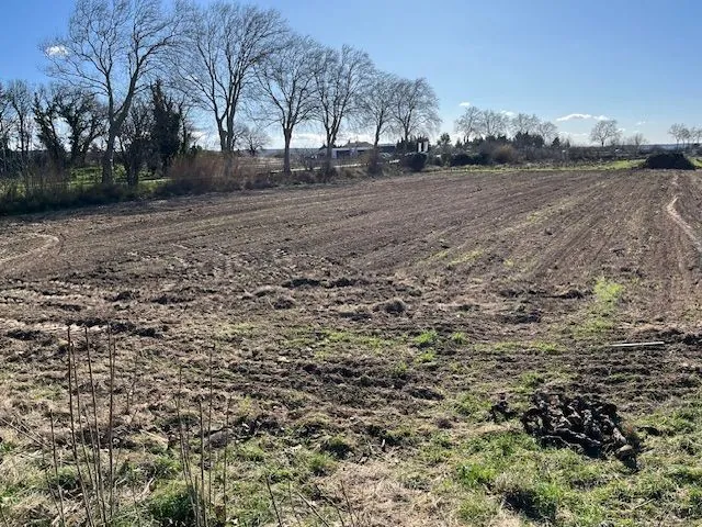 Terrain agricole à vendre à Castillon du Gard – Idéal pour cultures et oliveraies 