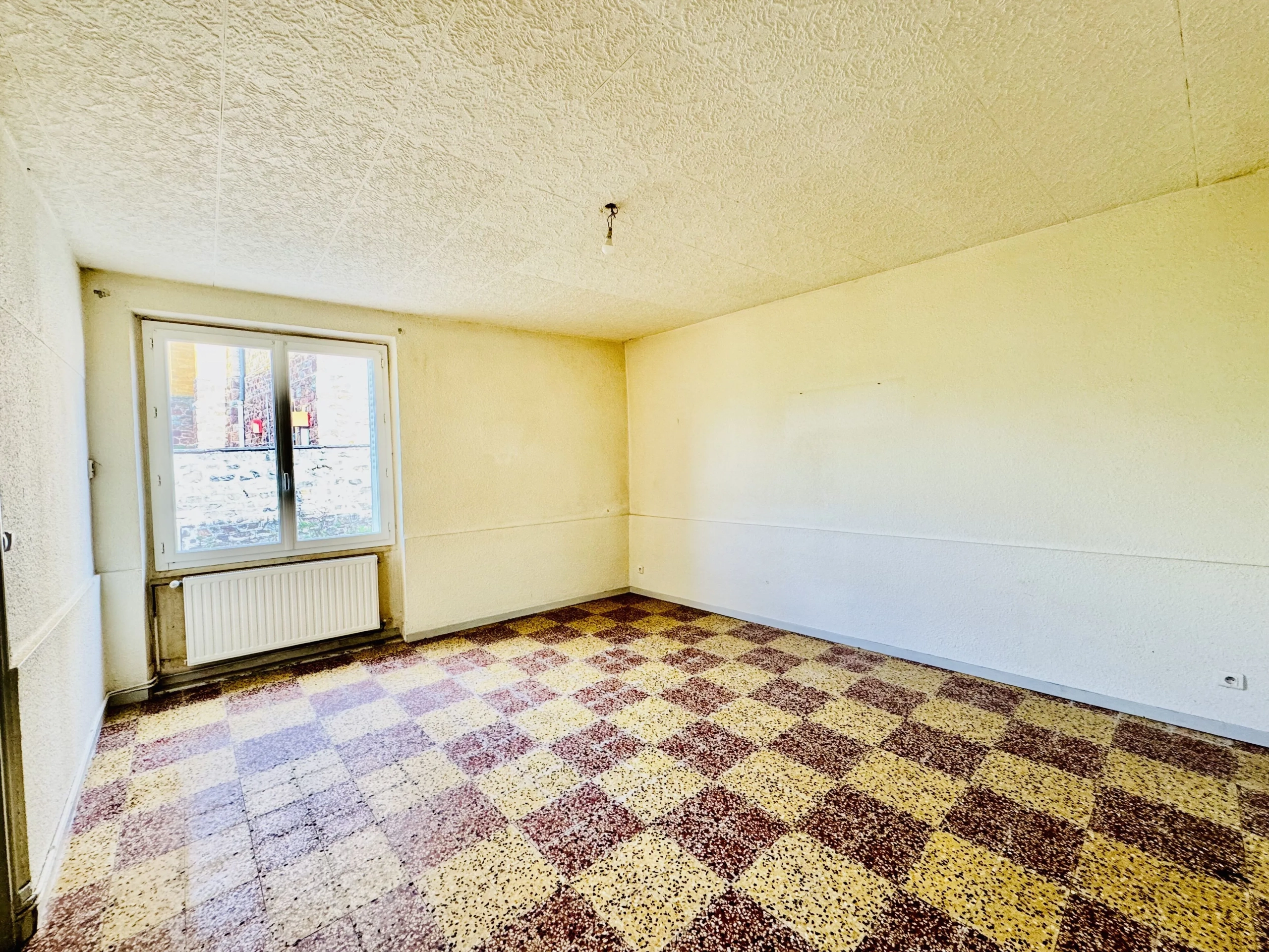 Maison de village à rénover avec grand terrain et garage à Mably 