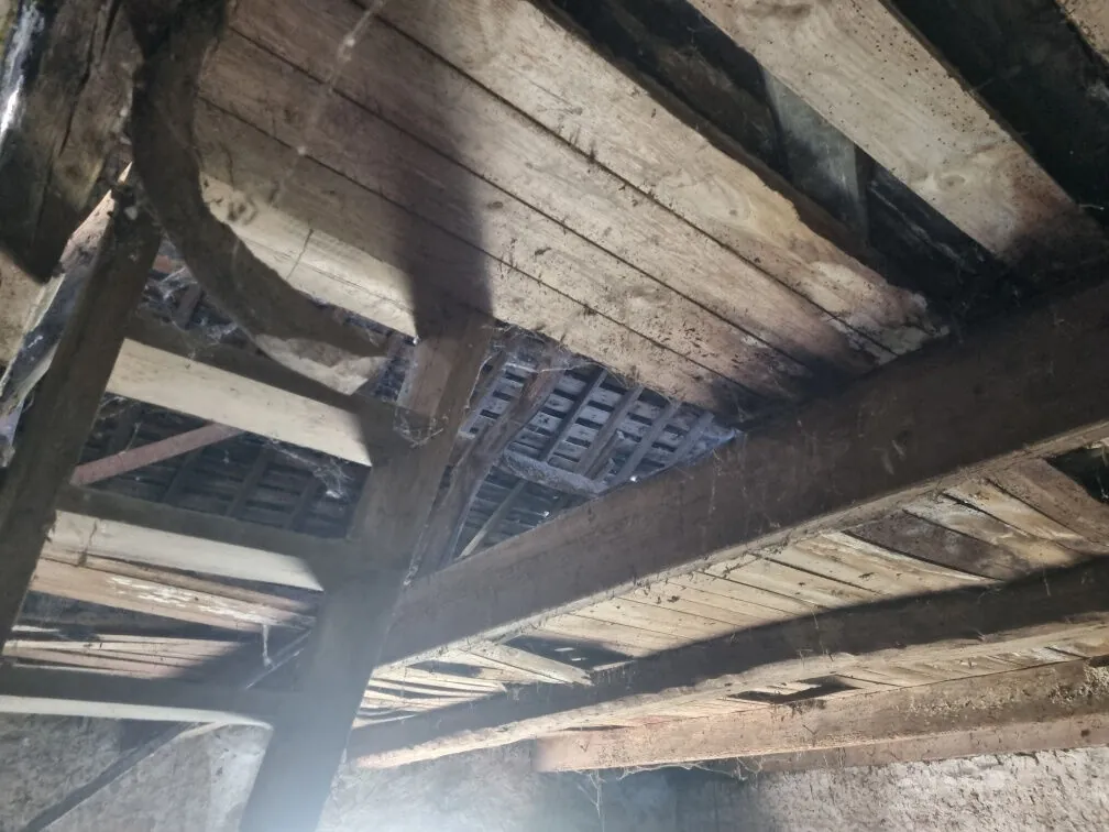 Maison en pierre à rénover à Saint André des Eaux - 575 m² de terrain, proche du village 