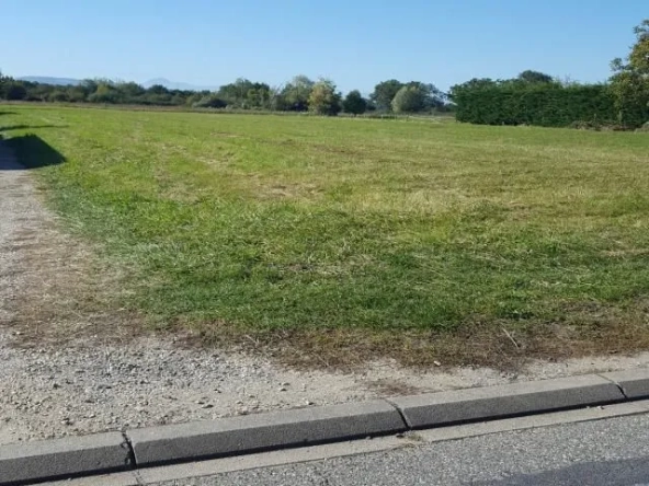 Terrain constructible à Toulenne de 300 m² - Projet de construction sur mesure